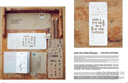 特殊工艺包装与产品设计的艺术视觉平面设计